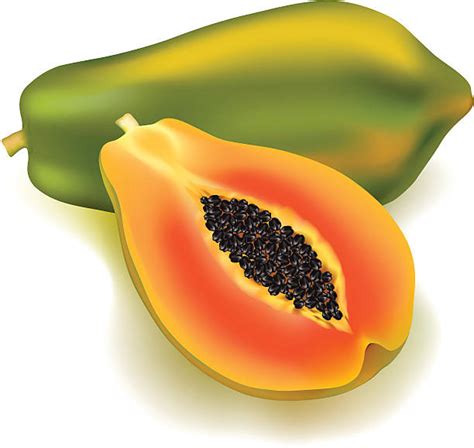 Papaya Clip Art vectors .
